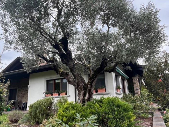 Casa con 6 locali in vendita in Centro, Staranzano