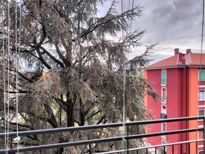 Appartamento bilocale in affitto in Via Orbetello, Crescenzago, Milano