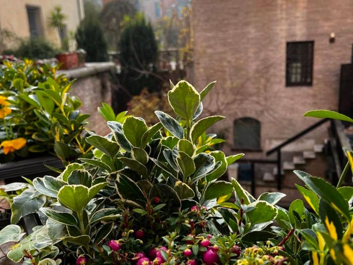 Appartamento con 5 locali in vendita in Via Giovanni Marangoni, Centro, Mantova