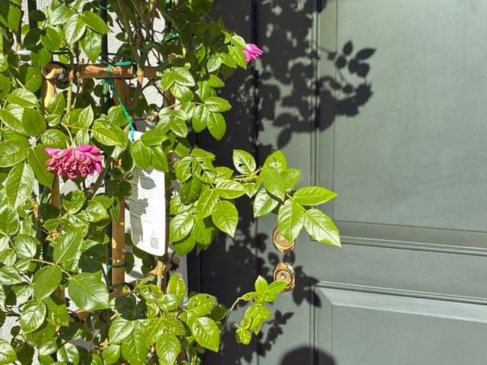 Casa con 6 locali in vendita in Via Guasti, Guizza, Padova