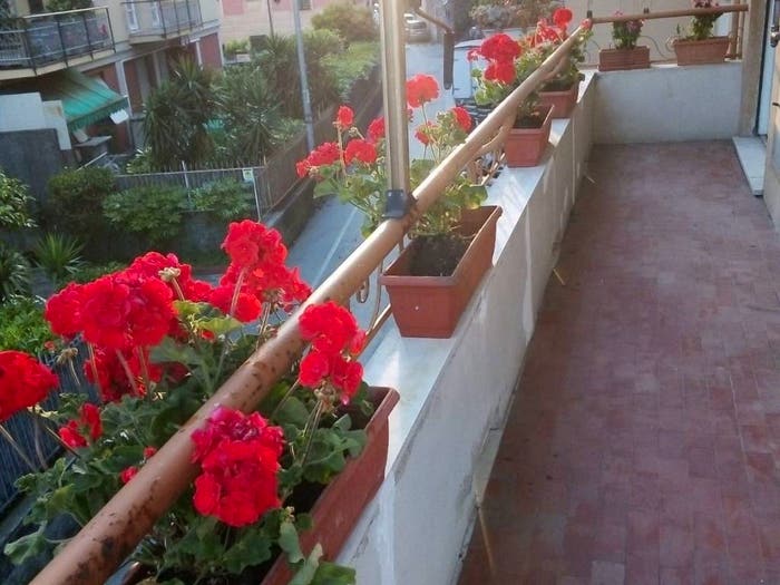 Appartamento con 5 locali in vendita in Via Antica Romana di Quinto, Quinto, Genova