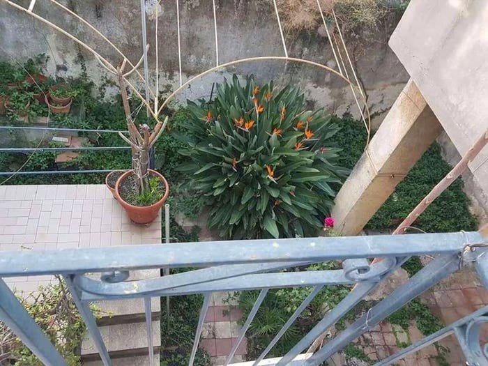 Casa con 6 locali in vendita in Via Antonio Paternò Di San Giuliano No Number, Centro, Giarre