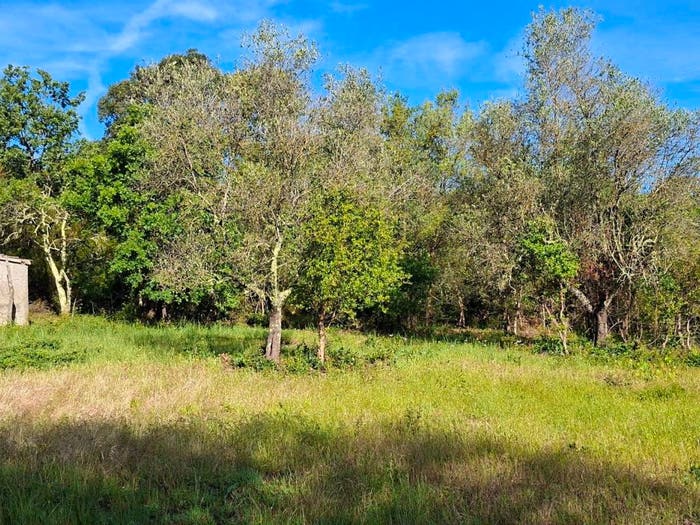 Casa monolocale in vendita in Strada Vicinale dei Lupaioli, Campagnatico