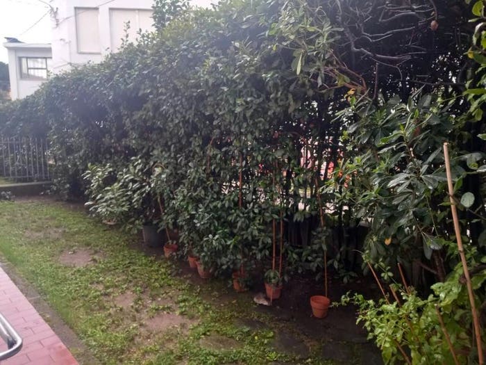 Appartamento quadrilocale in vendita in Viale Stazione, Centro, Massa