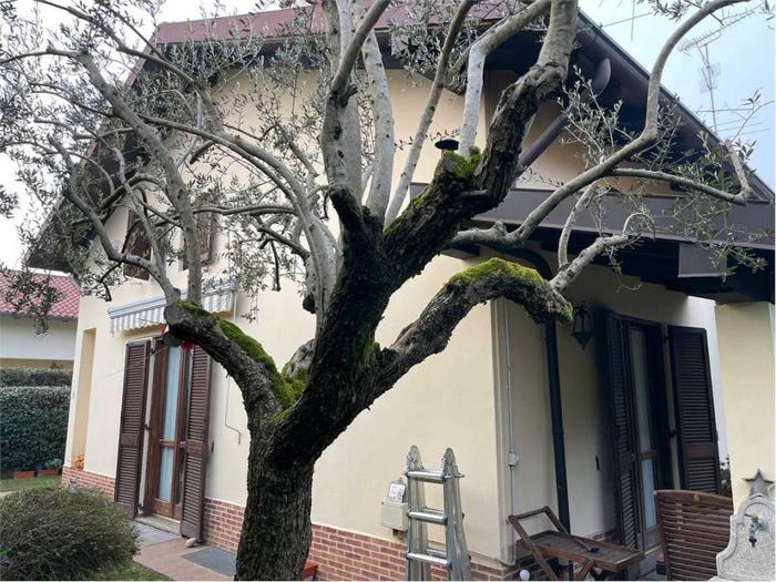Casa con 6 locali in vendita in Via Dante Alighieri, Arsago Seprio