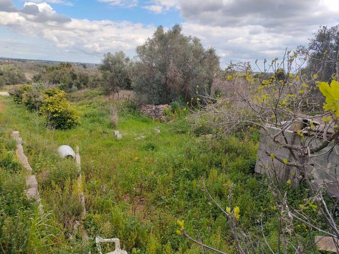 Appartamento con 5 locali in vendita in Via Roma, Centro, Neviano