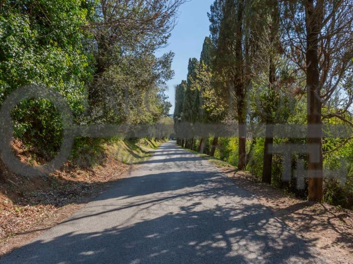 Casa con 6 locali in vendita in Strada Provinciale della Camminata, Bibbona