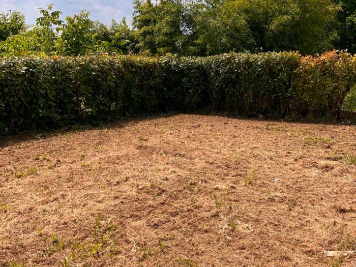 Appartamento con 5 locali in affitto in Centro, Cerea