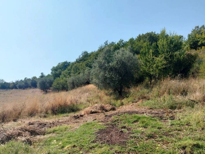 Casa quadrilocale in vendita in Pitigliano