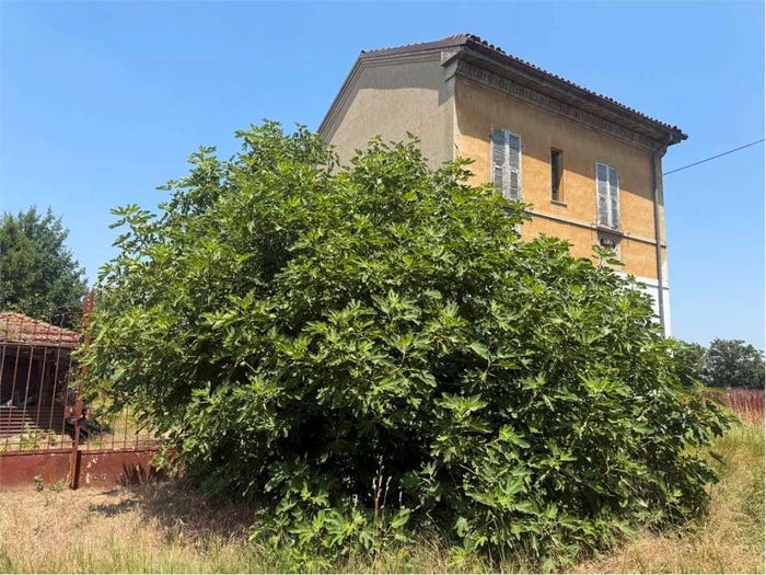 Casa quadrilocale in vendita in Centro, Bosco Marengo