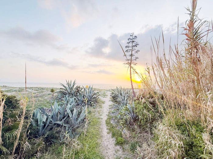 Appartamento bilocale in vendita in Lungomare degli Ardeatini, Marina di Ardea, Ardea