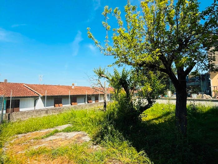Appartamento quadrilocale in vendita in Via Foscolo Scarpetta, Montefoscoli, Palaia