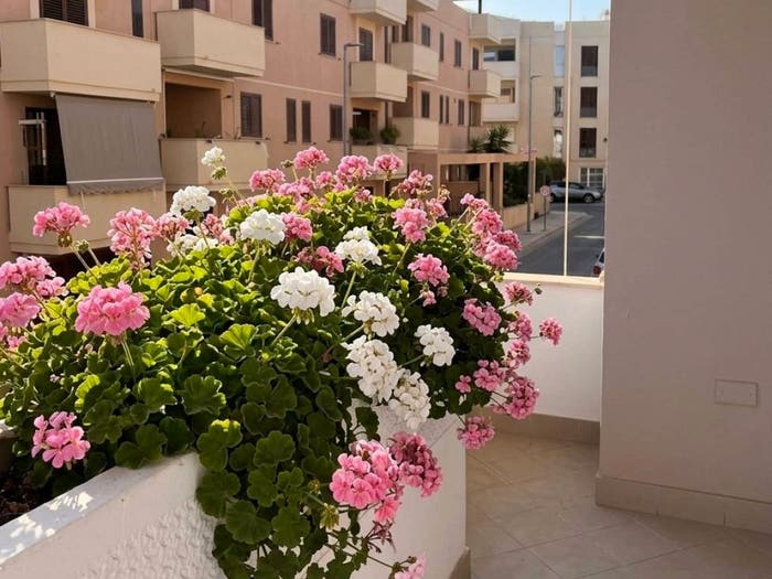 Casa quadrilocale in vendita in Via Francesco Paolo Perez, Centro, Terrasini