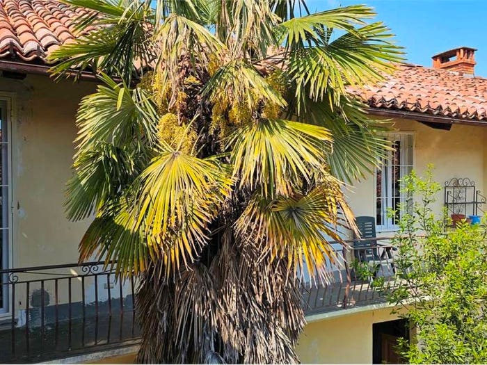 Appartamento con 6 locali in vendita in Via ferreri, Centro, Frossasco