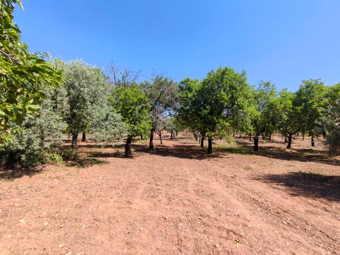 Casa con 6 locali in vendita in Contrada Volpiglia, Noto
