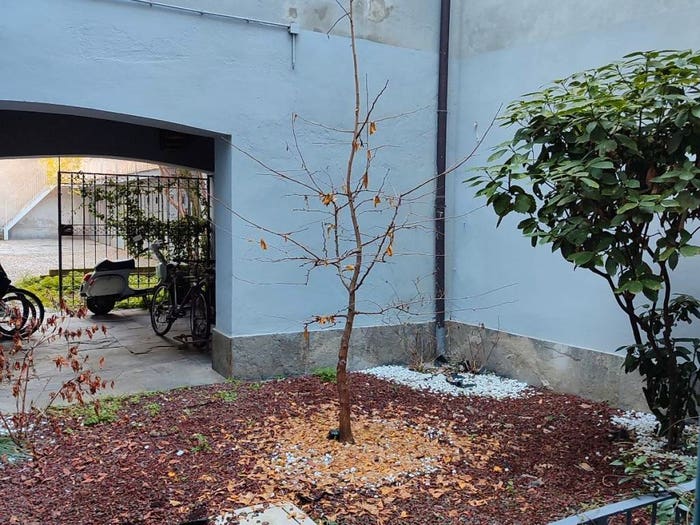 Appartamento bilocale in vendita in Via Pietro Carpanelli, Centro Storico, Pavia