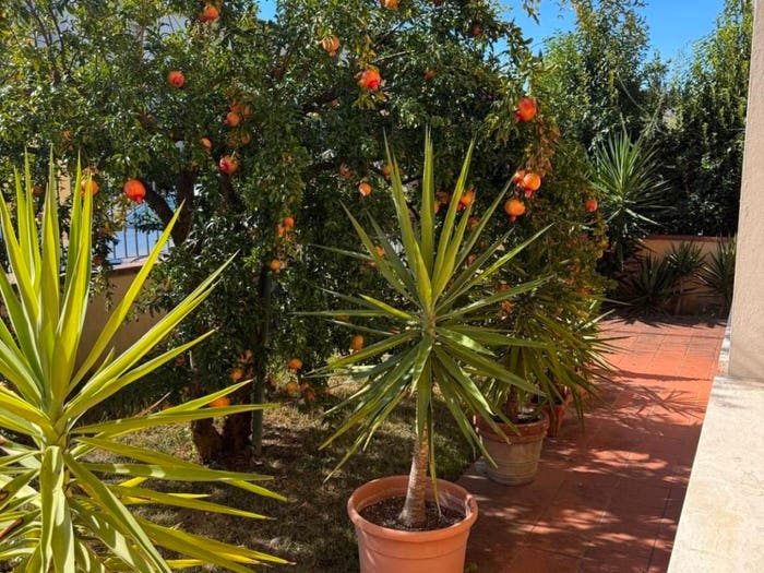 Casa con 6 locali in vendita in Via P Mascagni, Centro, Fucecchio