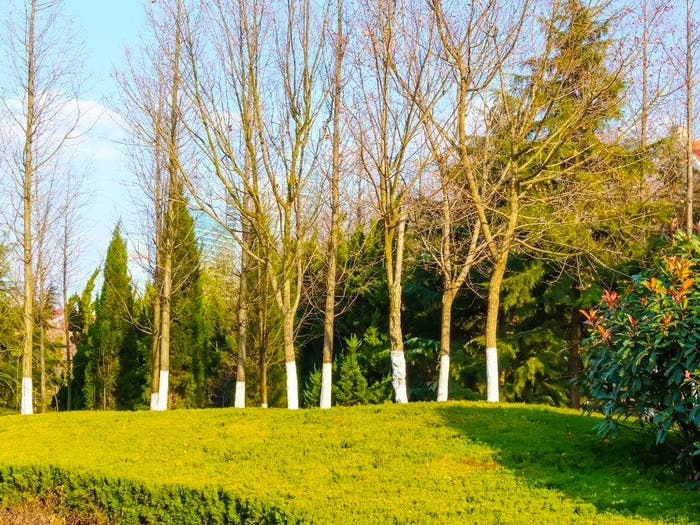 Appartamento trilocale in vendita in San Siro, Milano