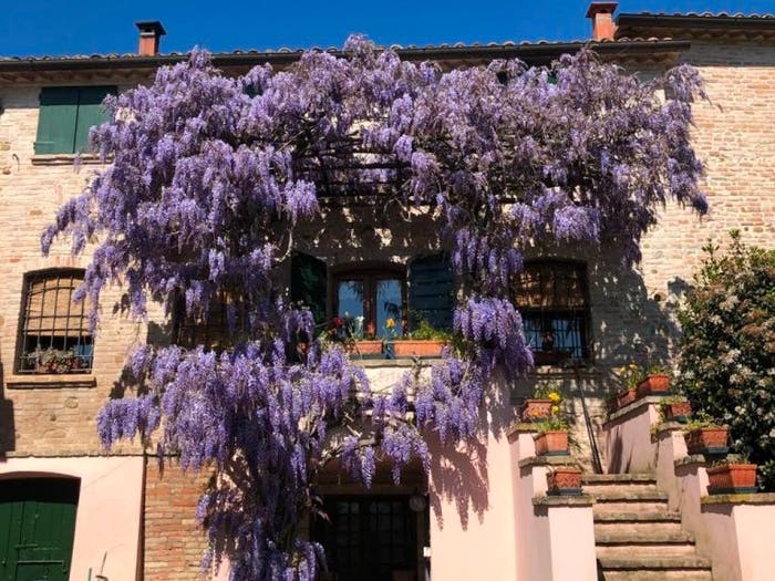 Casa con 5 locali in vendita in Centro, Longiano