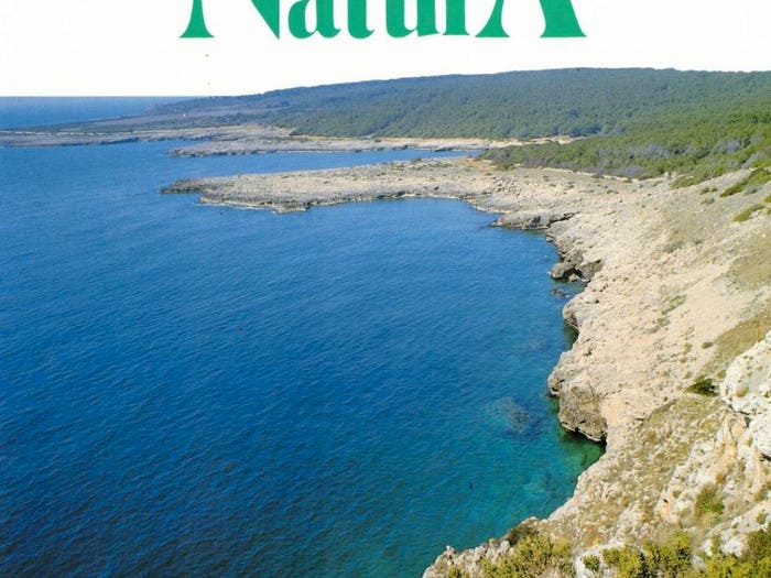 Appartamento bilocale in vendita in Litoranea Sant'IsidoroS Caterina, Nardò