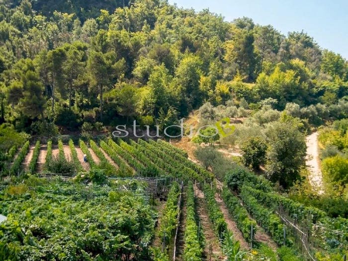 Casa con 6 locali in vendita in Località Santa Croce snc, San Biagio della Cima