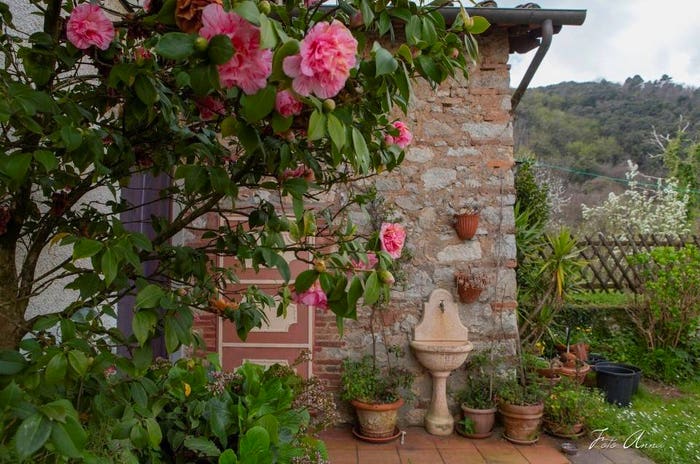 Casa con 6 locali in vendita in Via di Formentale, Chiatri Piazzano, Lucca