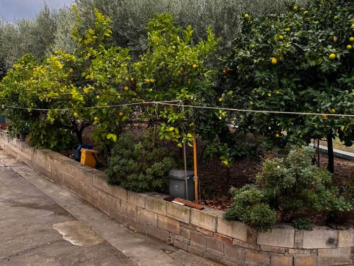 Casa quadrilocale in vendita in Strada Provinciale TolloVilla San Leonardo, Centro, Ortona