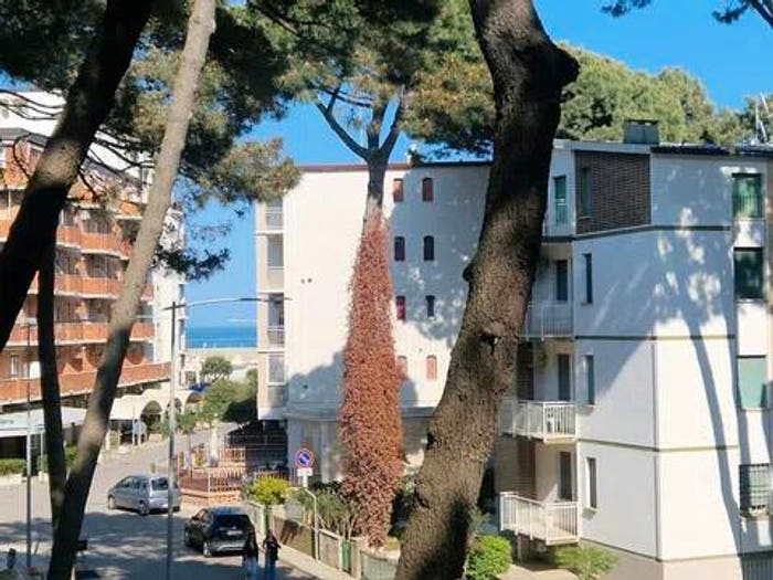 Appartamento bilocale in vendita in Viale Dei Lecci, Lido degli Estensi, Comacchio