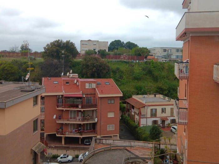 Appartamento bilocale in vendita in Via Ezio Sciamanna, Torrevecchia, Roma