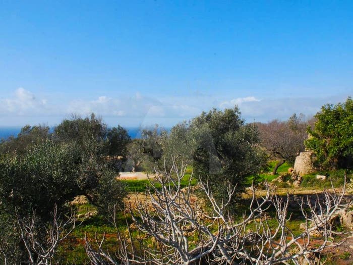 Casa monolocale in vendita in Strada Vicinale Scorpore II, Marina San Gregorio, Patù