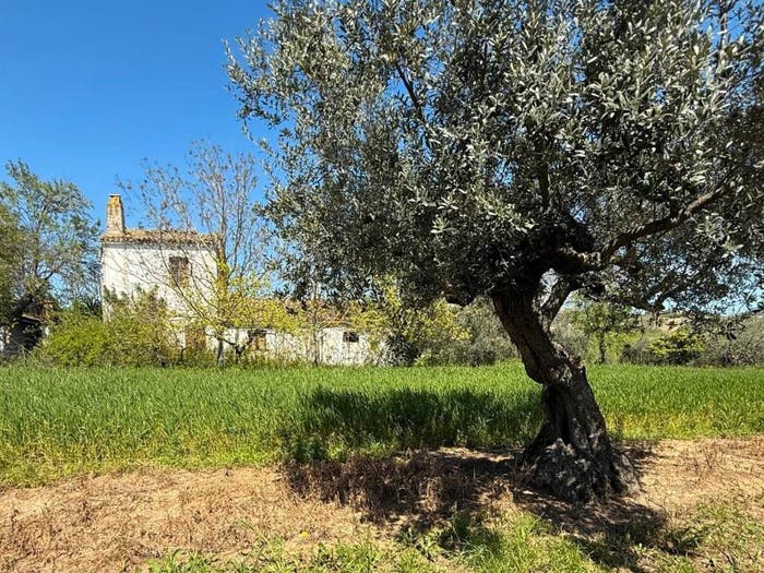 Casa quadrilocale in vendita in Strada Fagnano, Città Sant'Angelo