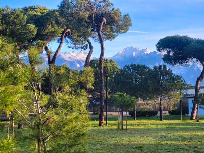Appartamento quadrilocale in vendita in Marina di Carrara, Carrara