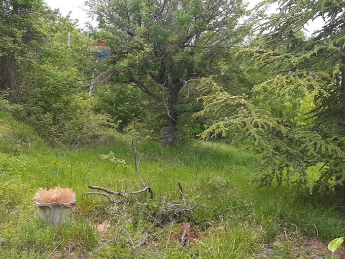 Appartamento quadrilocale in vendita in Corvara