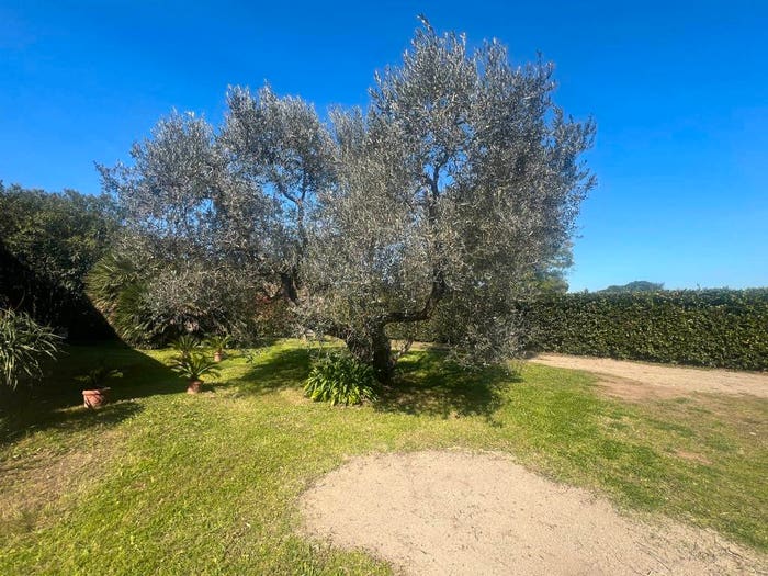 Casa con 6 locali in vendita in Via Po, Marina Di Castagneto Carducci, Castagneto Carducci