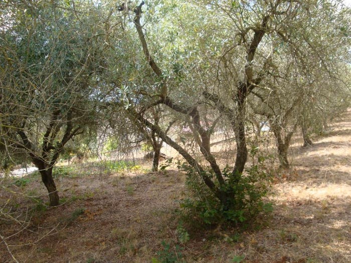 Casa con 6 locali in vendita in Castagneto Carducci