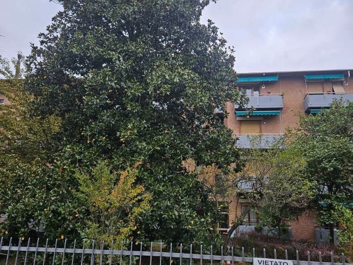 Appartamento trilocale in vendita in Via Renato e Sergio Mordacci, Ospedale Volturno, Parma