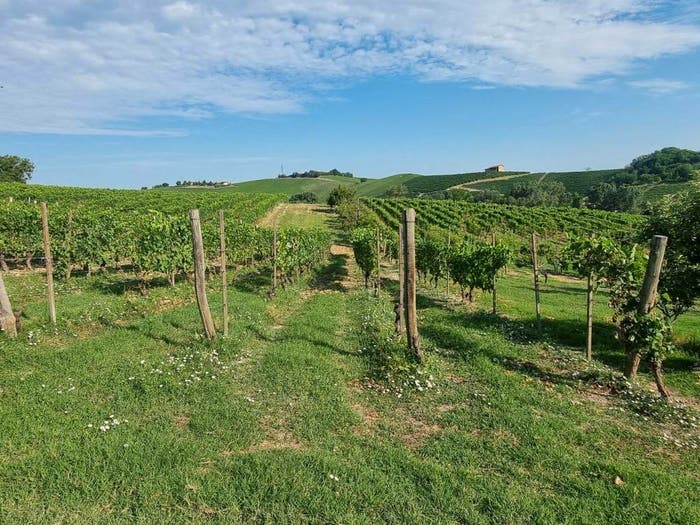 Casa con 6 locali in vendita in Via Opessina, Castelnuovo Calcea