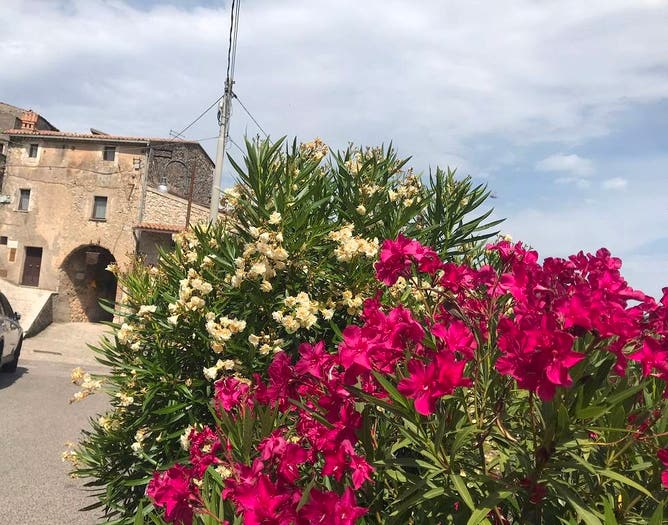 Casa quadrilocale in vendita in Via della Liscia, Colle San Magno
