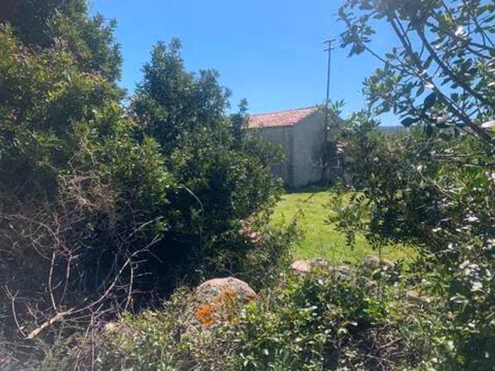 Casa bilocale in vendita in Località Tisiennari No Number, Bortigiadas