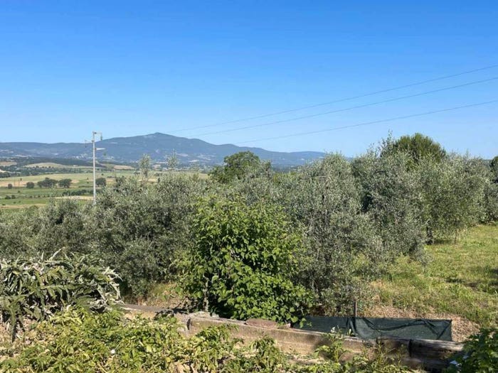 Casa con 5 locali in vendita in colle alto, Centro, Monteleone d'Orvieto