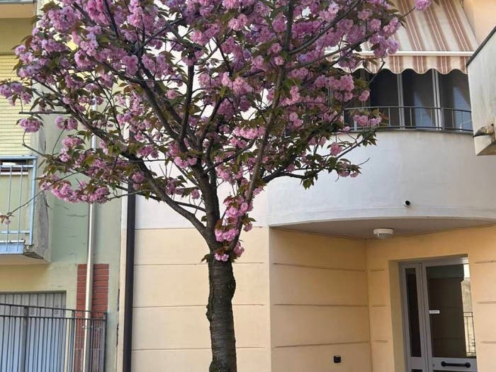Appartamento trilocale in vendita in Via Martiri della Libertà, Ponte Taro, Fontevivo