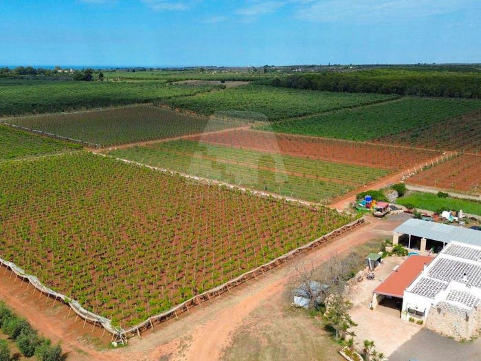 Casa quadrilocale in vendita in Strada Provinciale Presicce Lido Marini, PresicceAcquarica