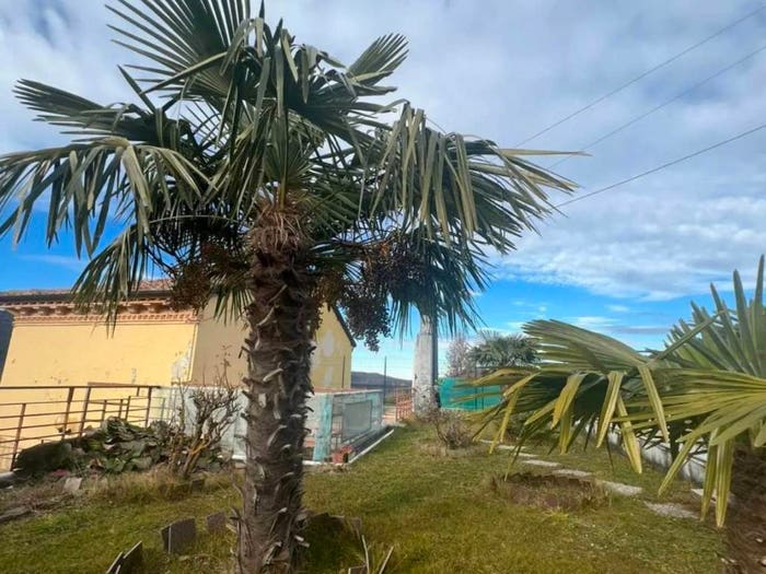 Casa con 5 locali in vendita in Via Massinigo, Santa Margherita di Staffora