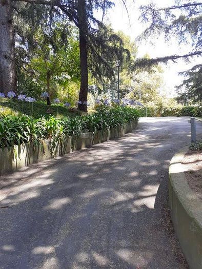 Appartamento con 6 locali in vendita in Via Viviani, Albaro, Genova