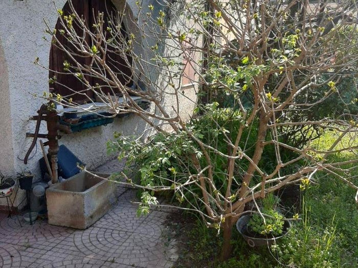 Casa con 6 locali in vendita in Via Pelosa, Bressanin, Borgoricco