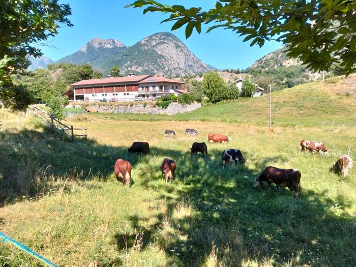 Casa con 6 locali in vendita in Via Albard, Donnas