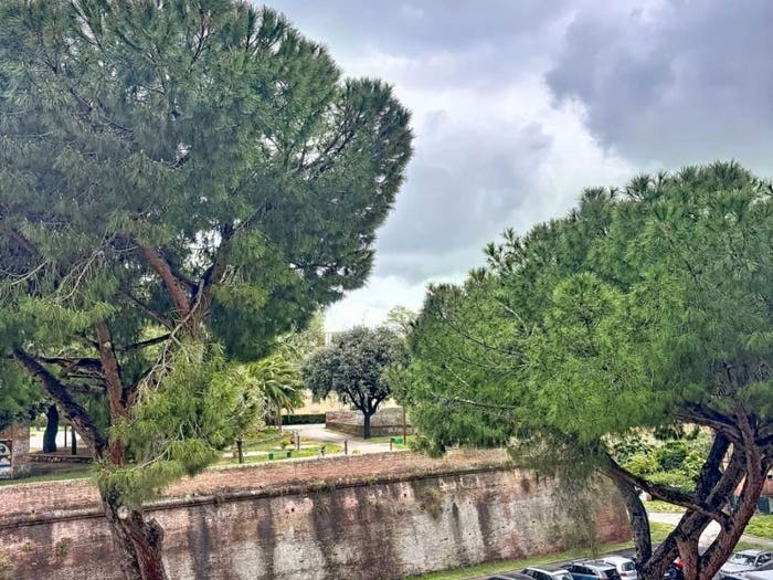 Appartamento bilocale in vendita in Viale Alessandro Manetti, Stazione Via Roma, Grosseto