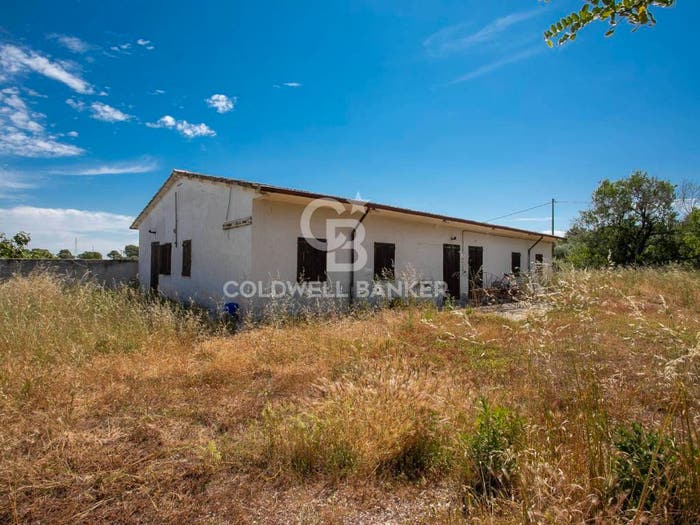 Casa trilocale in vendita in Località Campomorto, Montalto di Castro
