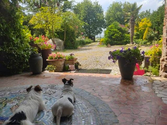 Casa con 5 locali in vendita in Via Pagano, Borgo Pagano, Masi Torello