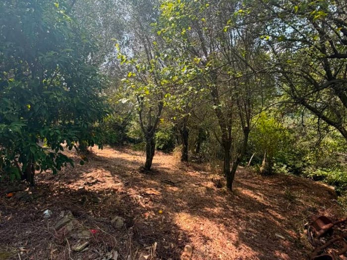 Appartamento trilocale in vendita in Via delle Banchelle, Molassana, Genova